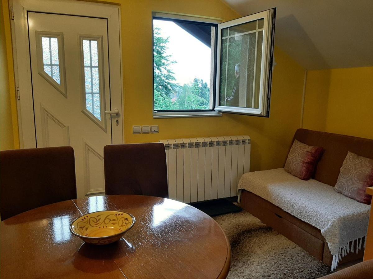 Apartments Junior Zlatibor Exteriér fotografie